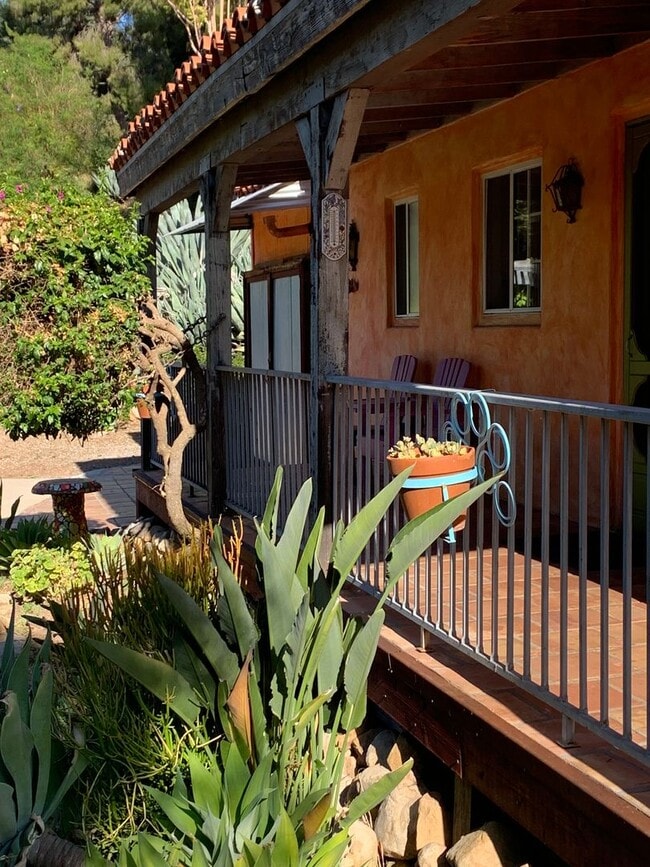 Photo - best of both worlds