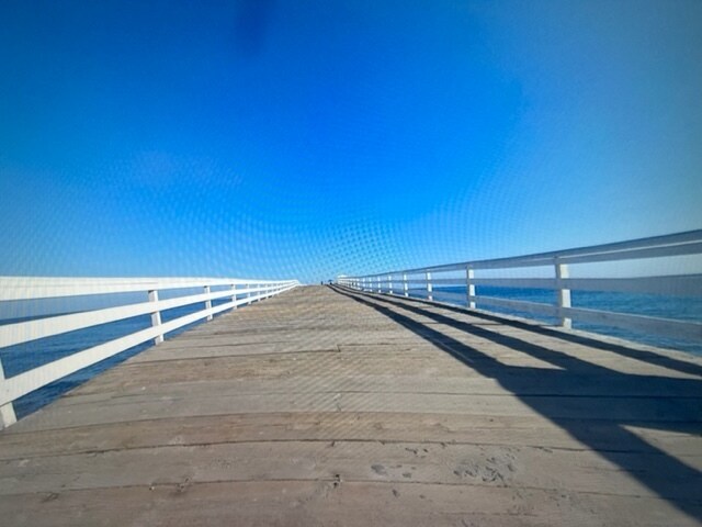 Building Photo - 28202 Rey De Copas Ln