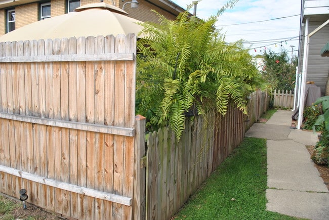 Garden entrance - 1323 Quarrier St Unit D