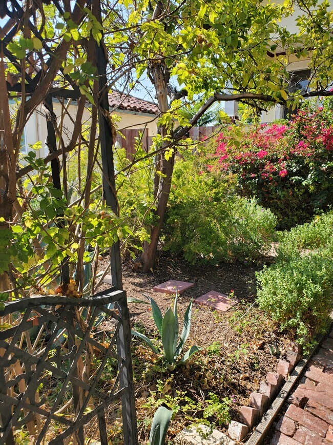 Garden - 455 Washington St Unit A