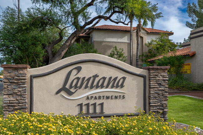 Lantana Apartments - Lantana Apartments