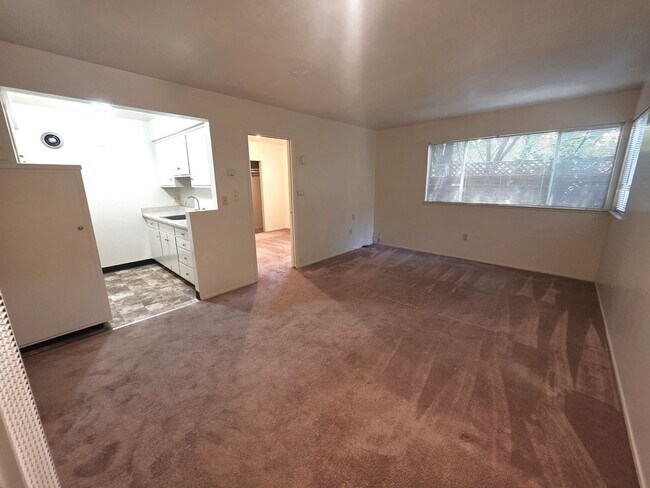 1-bdr just blocks from Downtown Berkeley - 1-bdr just blocks from Downtown Berkeley Apartment Unit 3
