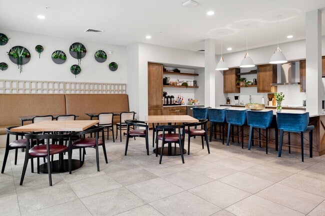Sage Mesa 55+ Active Adult