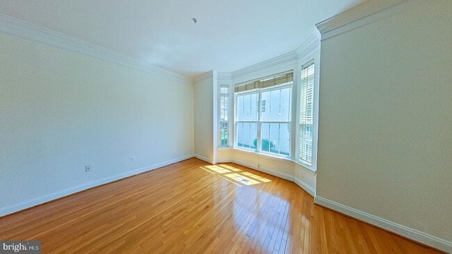 Photo - 3905 Chelsea Park Ln