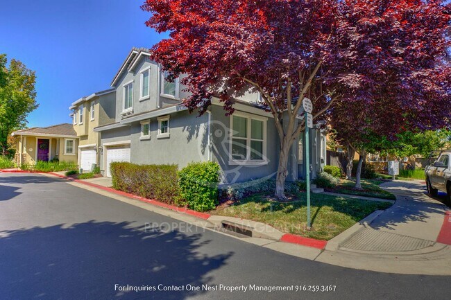 Stunning 3 bedroom 3 bathroom Lincoln Cros... - Stunning 3 bedroom 3 bathroom Lincoln Cros... House