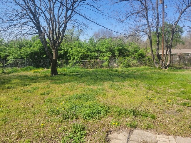 Photo - 2 Bedroom House Backyard!