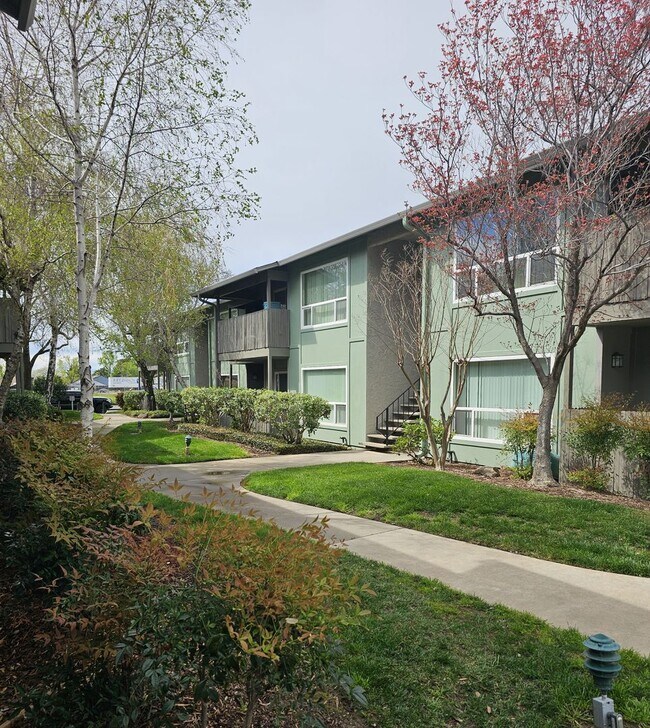 Chico Meadows Apartments