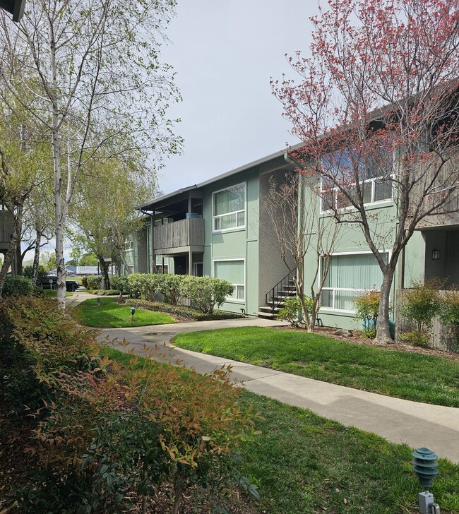 Photo - Chico Meadows Apartments