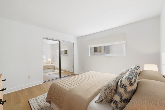 Photo - Willis Park South