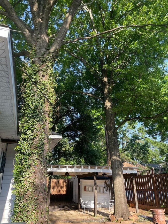 Photo - 7410 Ilex St Unit C