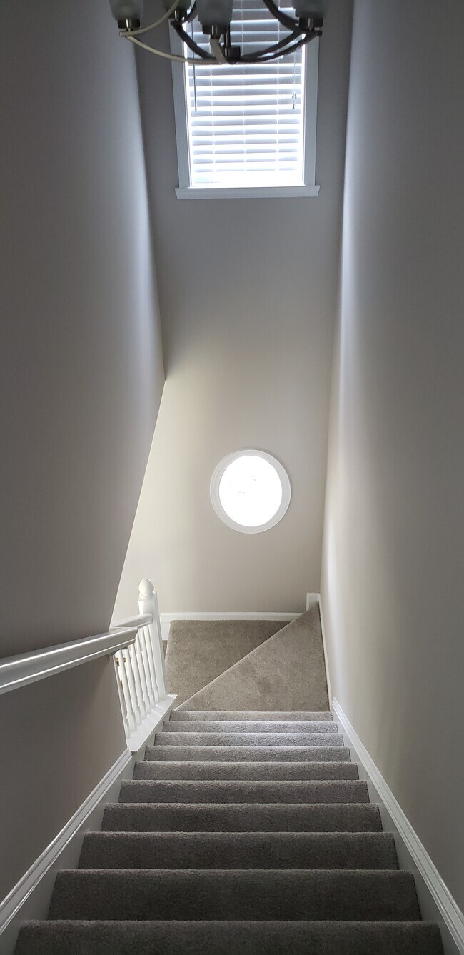 Photo - 4004 Pepperbush Dr