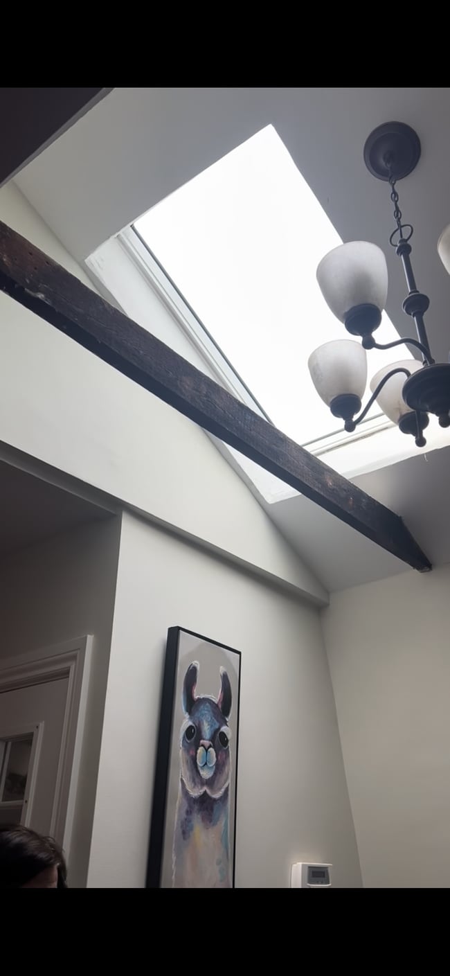 Photo - 50 Perrin St