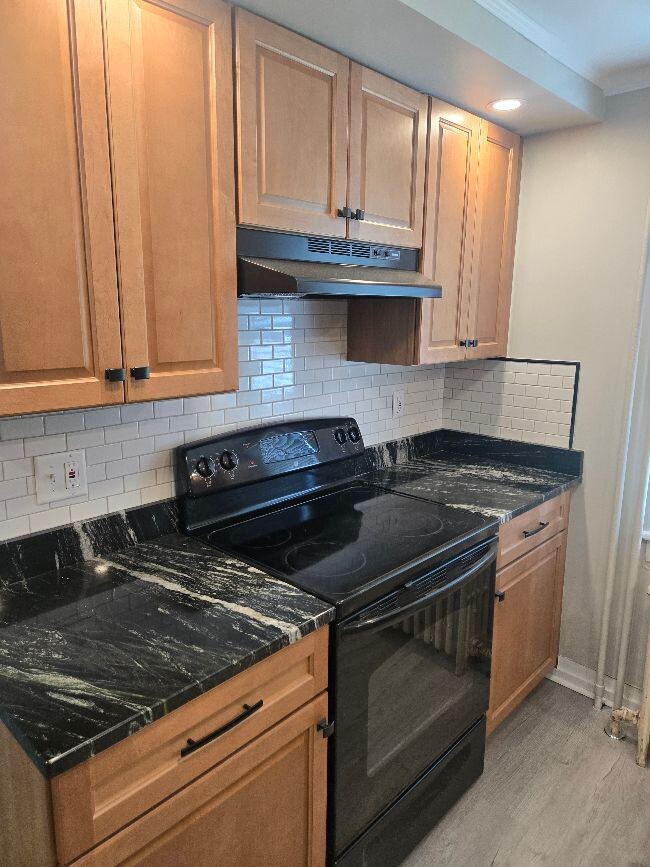 One side of kitchen - 630 Old Waynesboro Rd