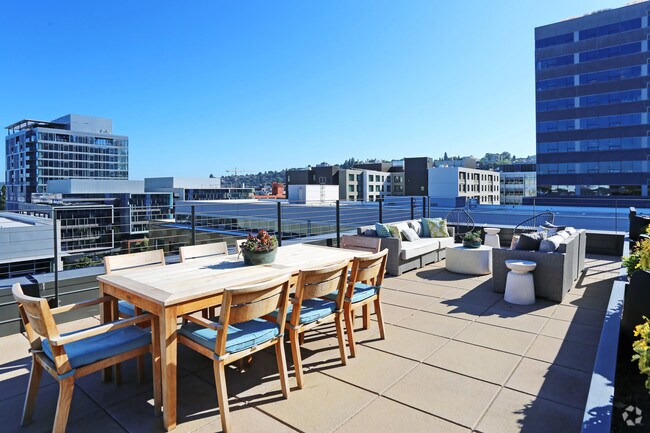 Photo - Fox and Finch