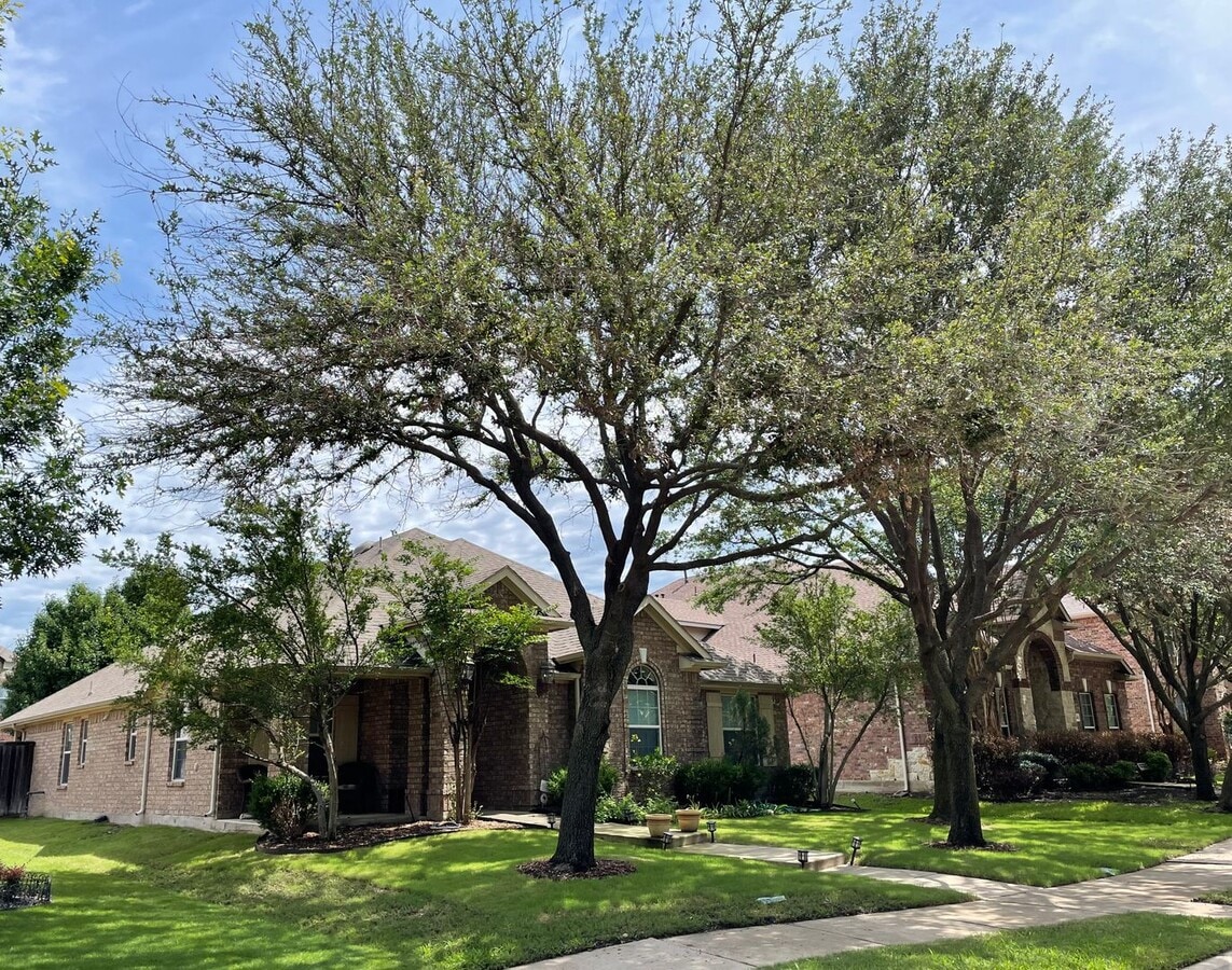 Photo - 11452 Snyder Dr