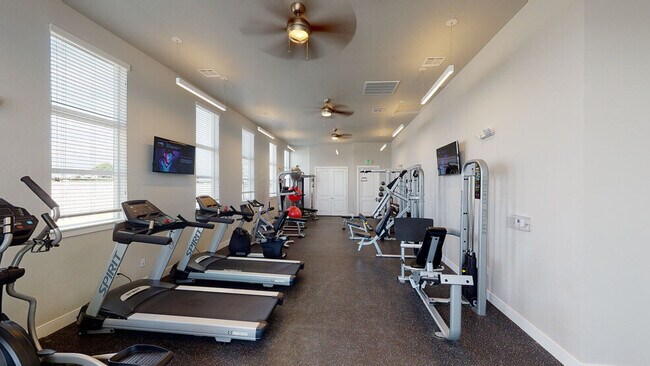 Gimnasio