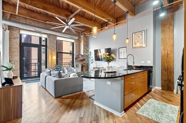 Building Photo - 1040 W Adams St Unit 217 Rental