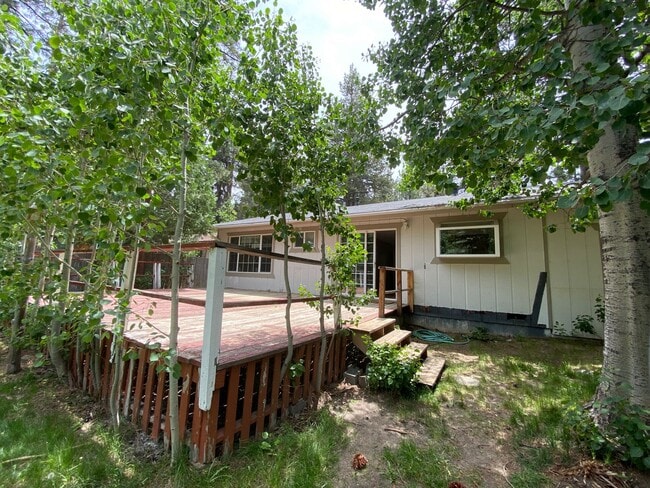705 Anita Dr