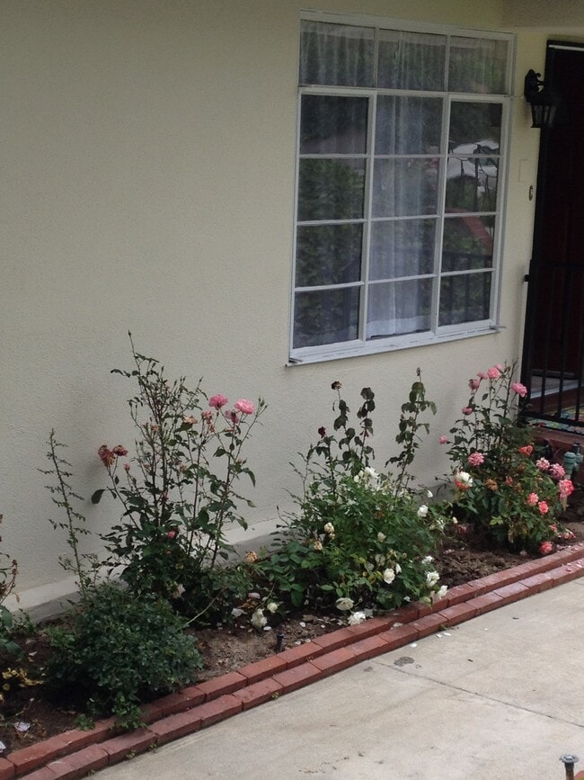 Building Photo - 1818 Verdugo Loma Dr Unit 1818 Rental