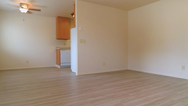 Great open floorplan