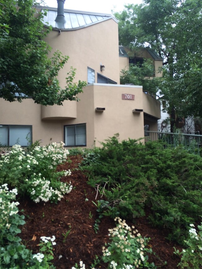 701 Pearl St Unit 5