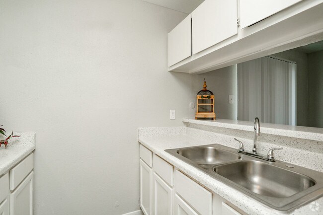 Photo - Aster on Aldine