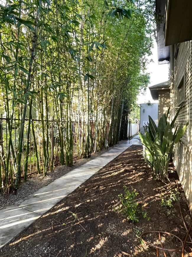 Access path with gate - 2725 Dalton Ave