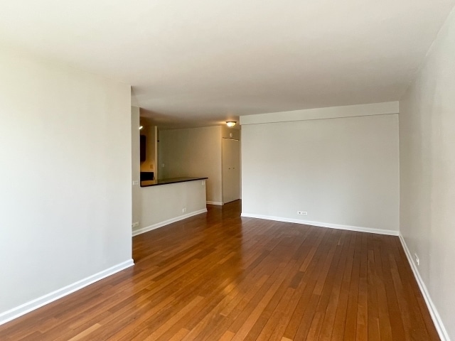 Photo - 222 E Pearson St Unit 1206