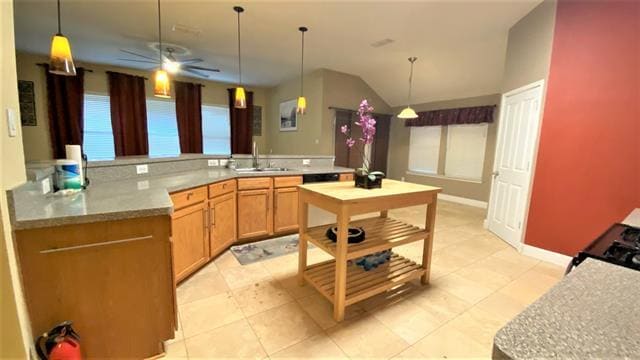 835 Roaring Springs Rd