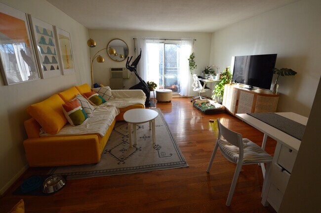 804 Centre St Unit 307