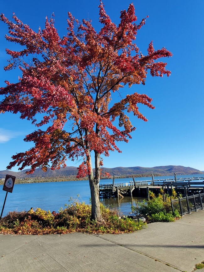 Building Photo - 177 W Parmenter St Unit 3