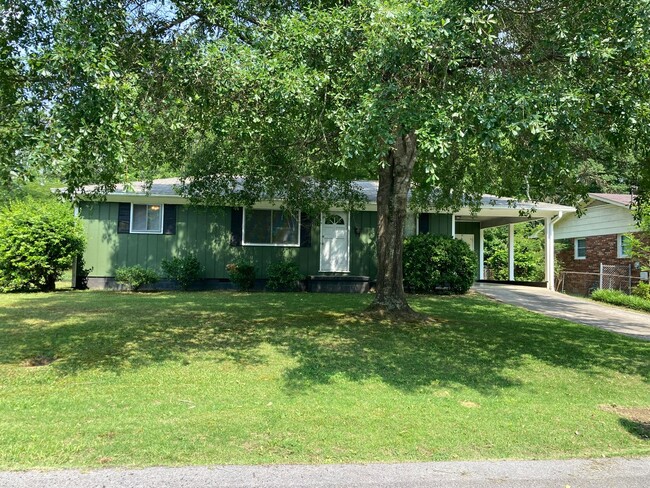3/1 House in South Rome- $1,195 - 3/1 House in South Rome- $1,195