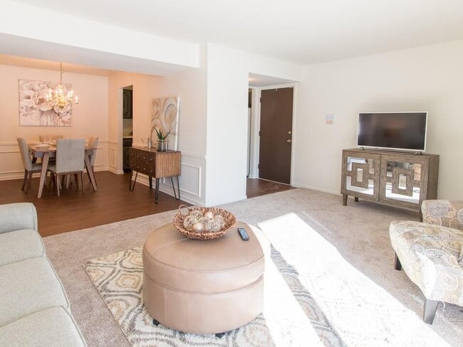 Carpeting & Hardwood Style Flooring