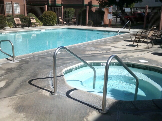 Pool and Spa - Stonegate