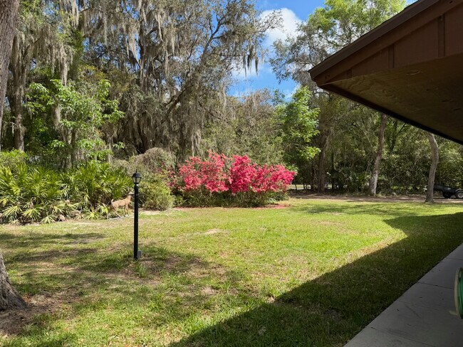 Photo - 3660 Crazy Horse Trail