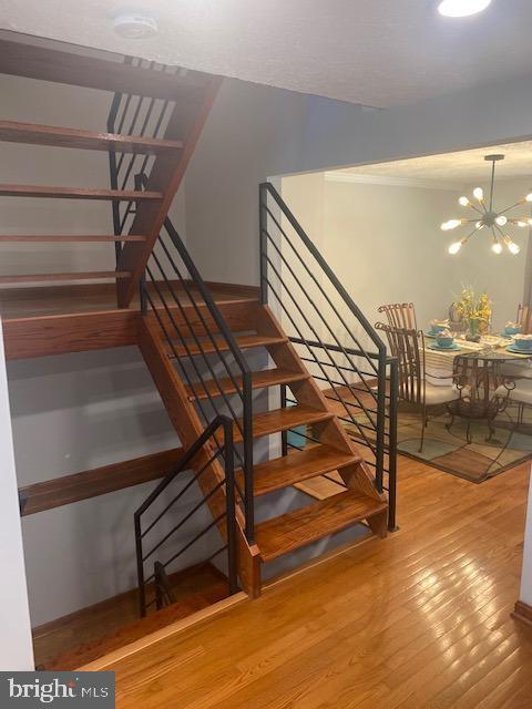 Photo - 7 Capland Ct