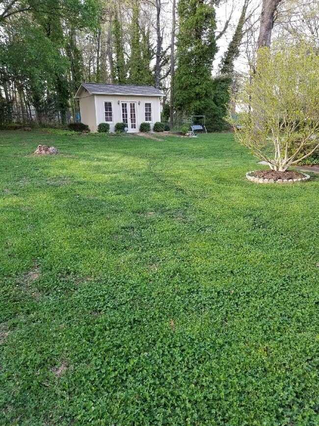 Yard in the Spring time