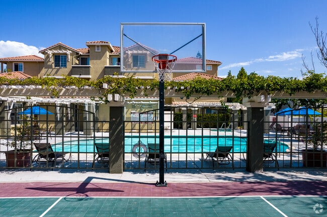 Basketball Court