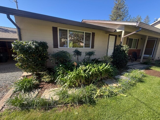 Photo - 240 Scholtz Ave