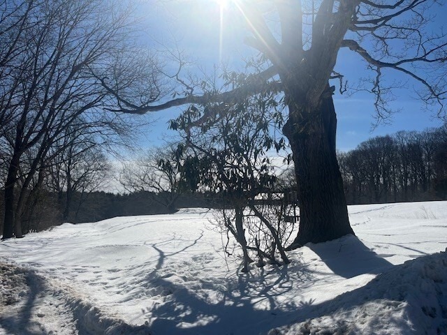 Photo - 89 Old Connecticut Path