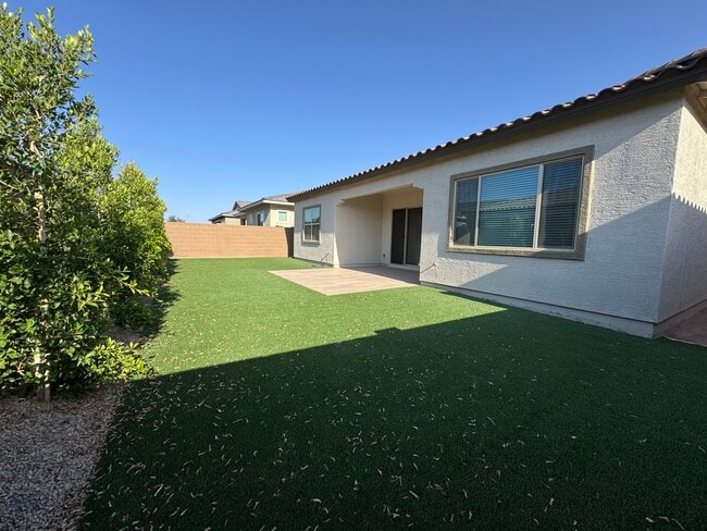 Back yard with turf and ficus trees - 2996 E Birdsong Ave House