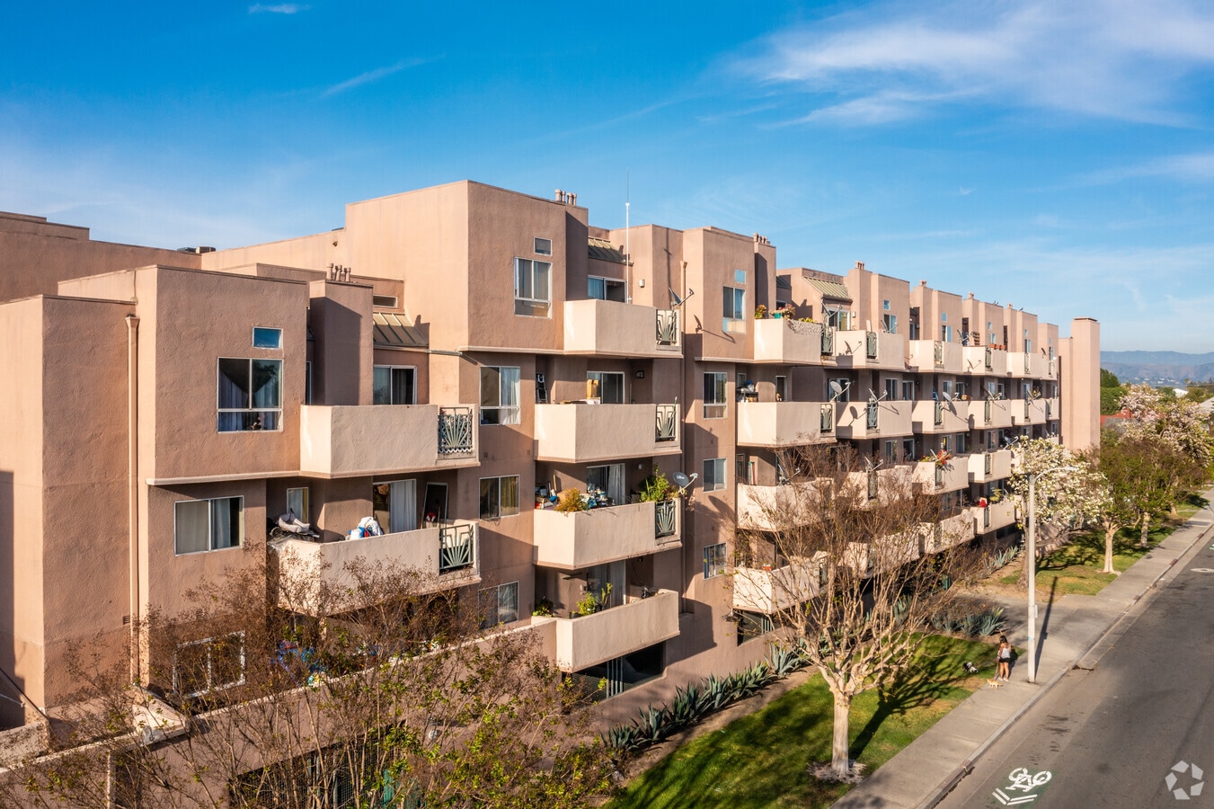 Photo - The Spectrum