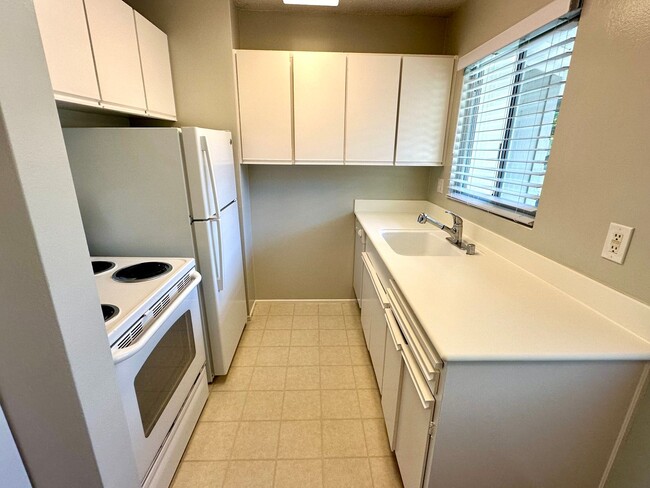 Photo - The Pines Apartments