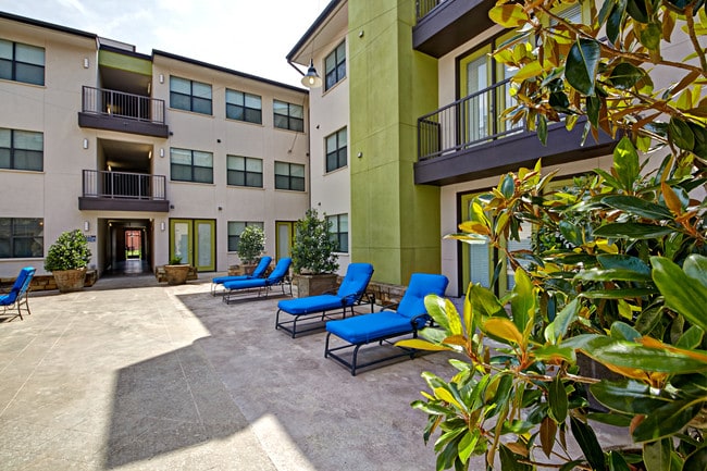 Vue Live Oak