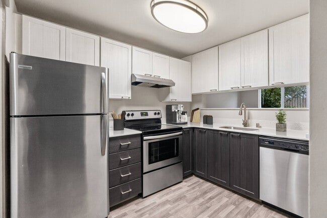 Vibe Apartments