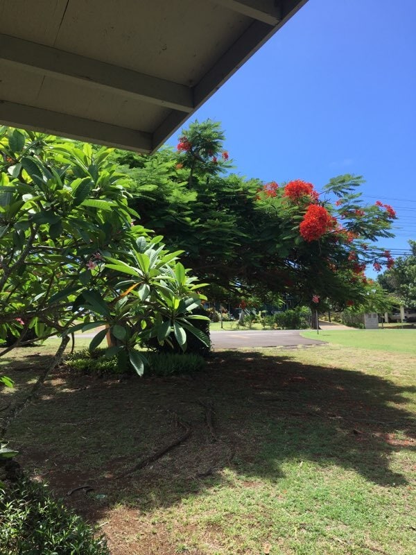 Photo - 2034 Kipuka St