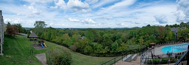 Overview