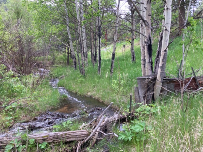 Photo - 76 Devils Cross Rd