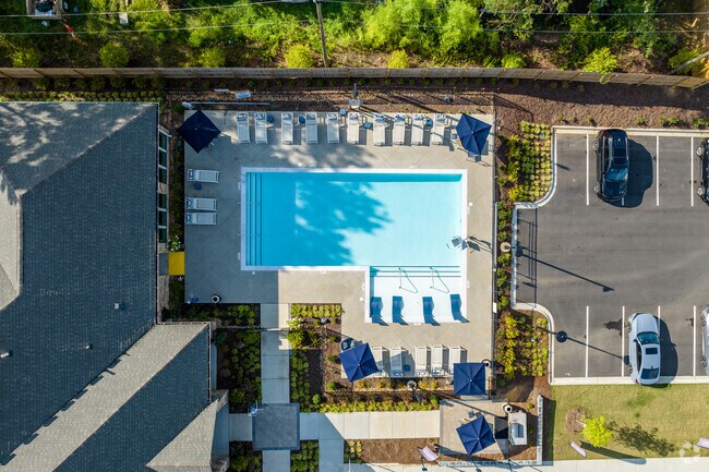 Pool - Wallace Park, An Alexan Community