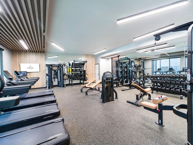 A spacious fitness center featuring strength and cardio equipment, mirrored walls, and natural light for a bright, energizing atmosphere.